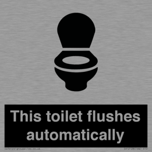 This toilet flushes automatically